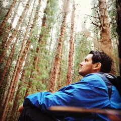 David Masis Mora