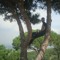Ahmed Abd Elgaffar Rekaba