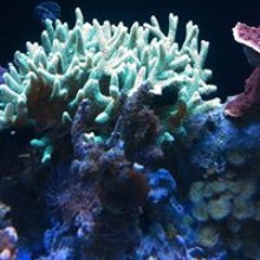 Luis Raul Vargas Cruz