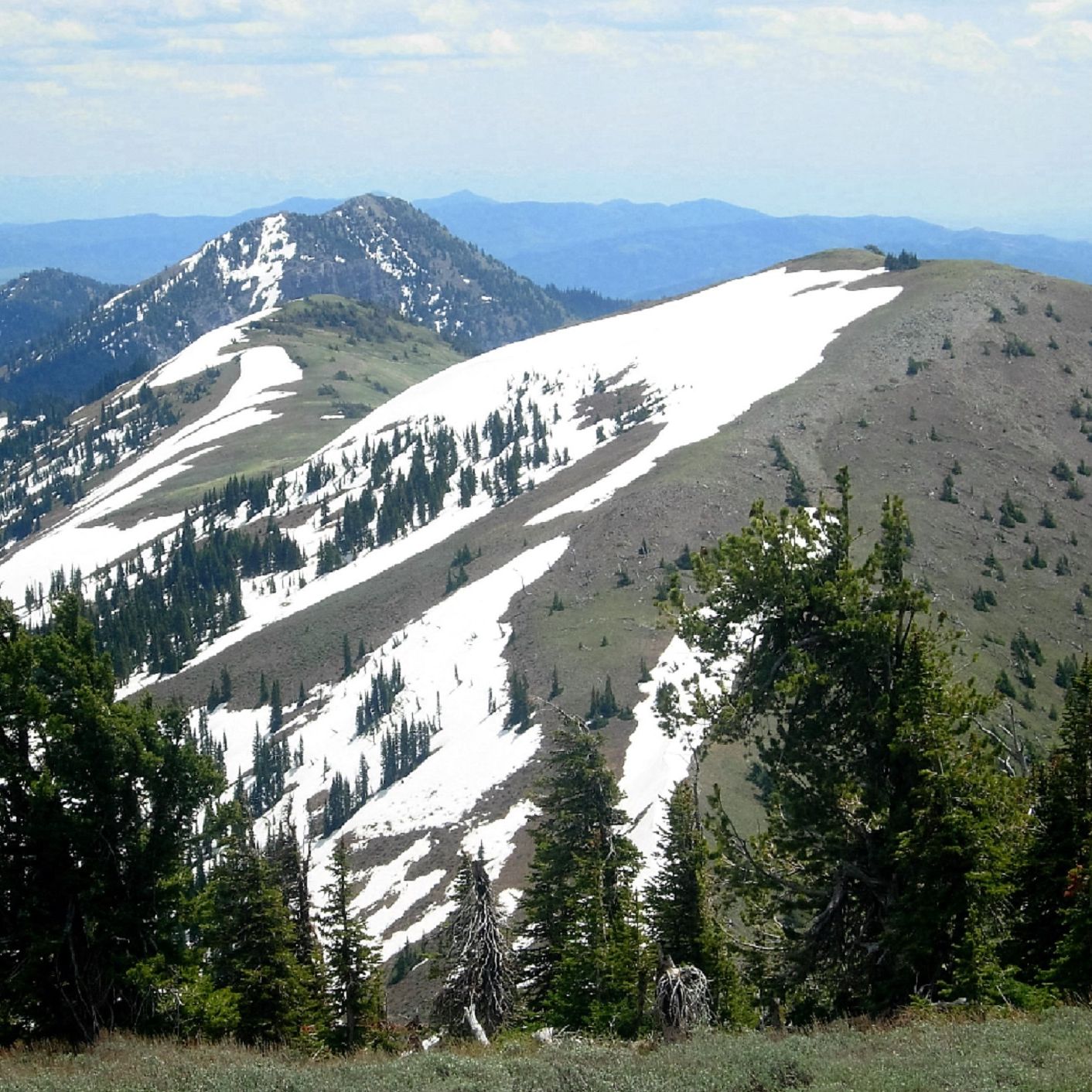 Snow Peak Radio cover art