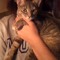 nyall