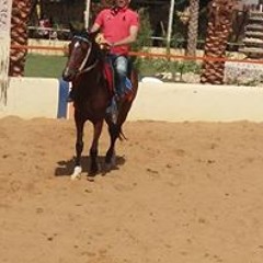 Ahmed Mostafa Ahmed