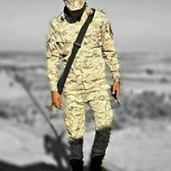 Anas S Qodaih
