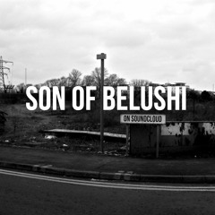 Son Of Belushi
