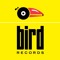 birdrecords
