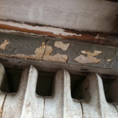 John Henrietta Whatsername