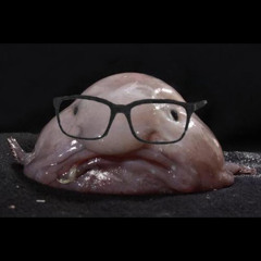 TeamBlobFish