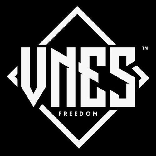 VNES’s avatar