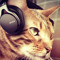 Kittygamerlove