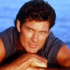 Hasselhoff 2017