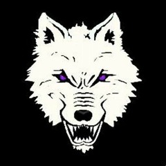 YwF entertainment