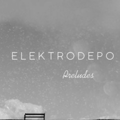 Elektrodepo