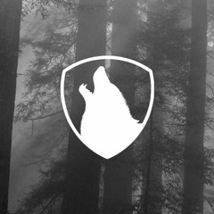 Stream DJ Amca music | Listen to songs, albums, playlists for free ...