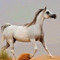 Hussain ALMannai