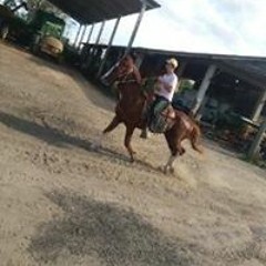 Moises Delfrate Castilho