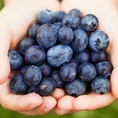 Blueberry_McPhuckerson