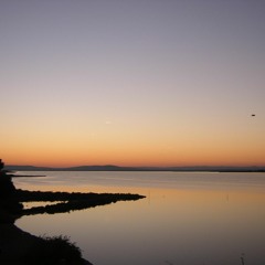 Lush - Superblast! - acoustic cover