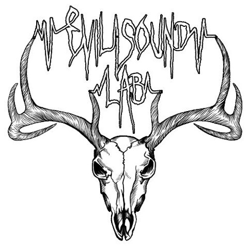 Evil sound. Evil sound лёша джей. evil sound основатель. evil sound lab the king. evil sound девочка.