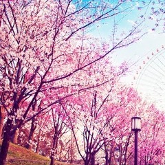 Santiago Noreña Restrepo