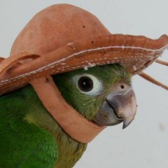Minnyay