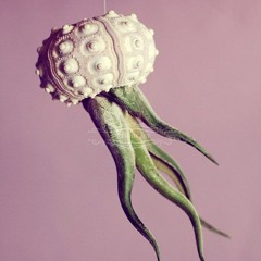 voices unheard (demo)