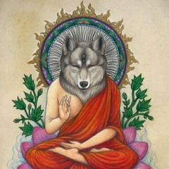 AuRoaRa WolFlOm