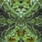 2bstructure