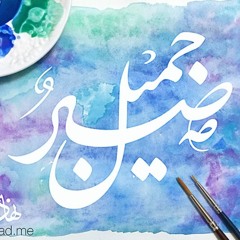 Doha Amr Rasheed
