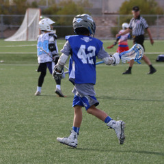 Zander D