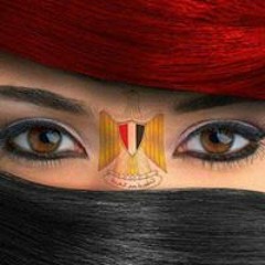 احمد شوقى الشرقاوى