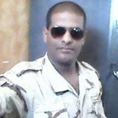 محمود ابو الوفا
