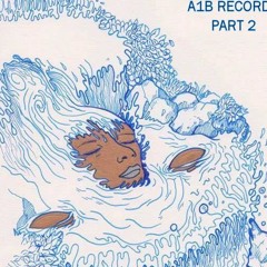 A1B Records