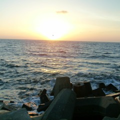 Enjoy