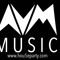 AVM Music | hou5eparty.com