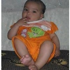 جمال عبدالناصرالشطباوي