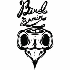 Bird Brain