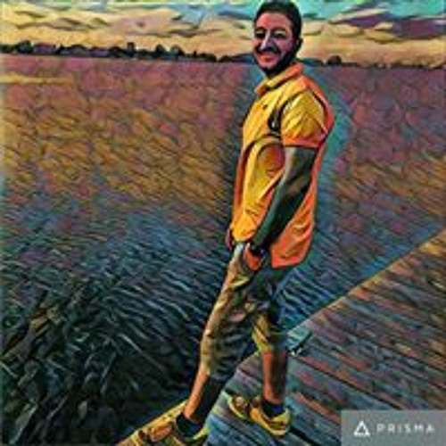Ahmed Elsofi’s avatar