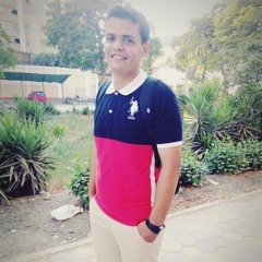 Karim Elfeky