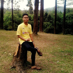 Bojo Ketikung by Via Vallen (SERA) Mega Record.mp3