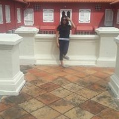 Amadea Bella