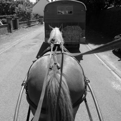 charlotte guillot