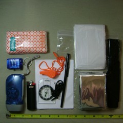 SurvivalPartyStore.com