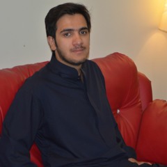 Taha Malik