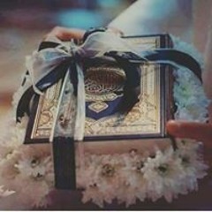 walaa omar