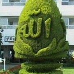 السعد وعد