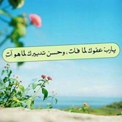 Zezo Attia