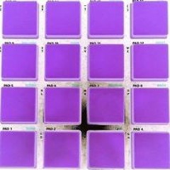 Garcia Gabriel Guillermo