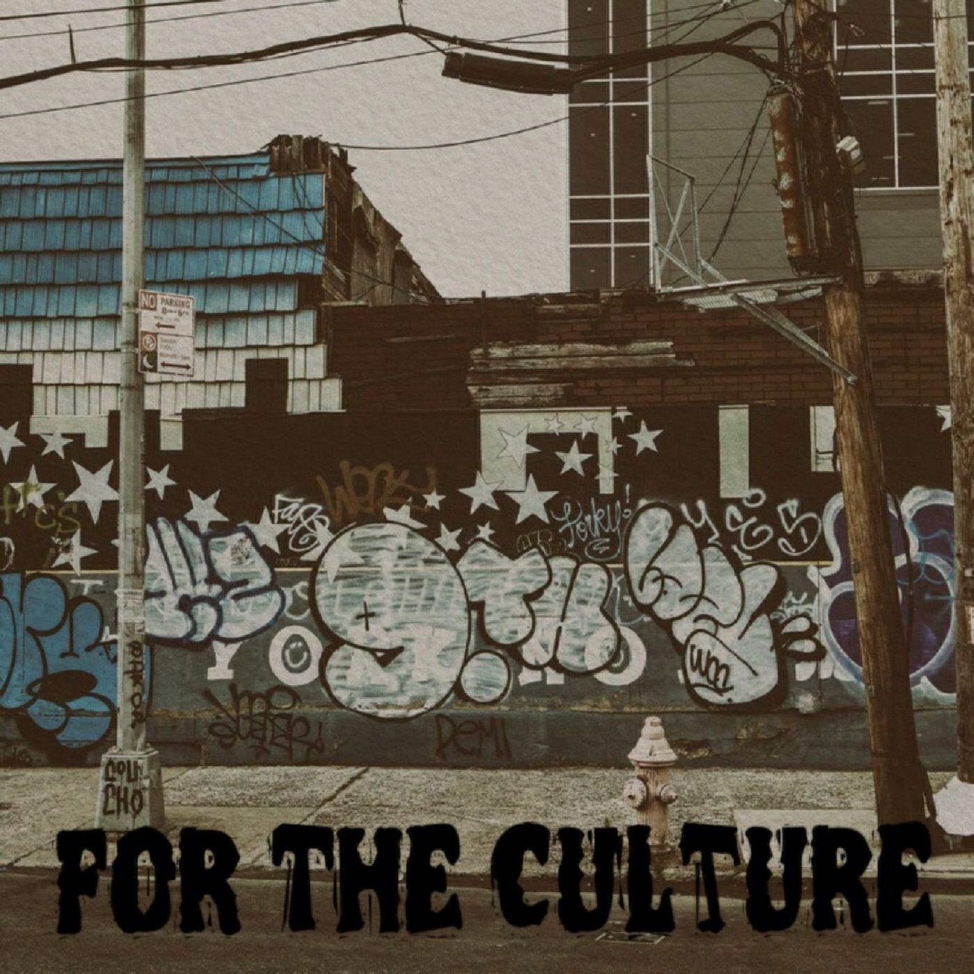 For The Culture Podcast cover art