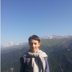 muro
