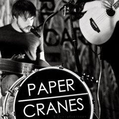 Paper Cranes
